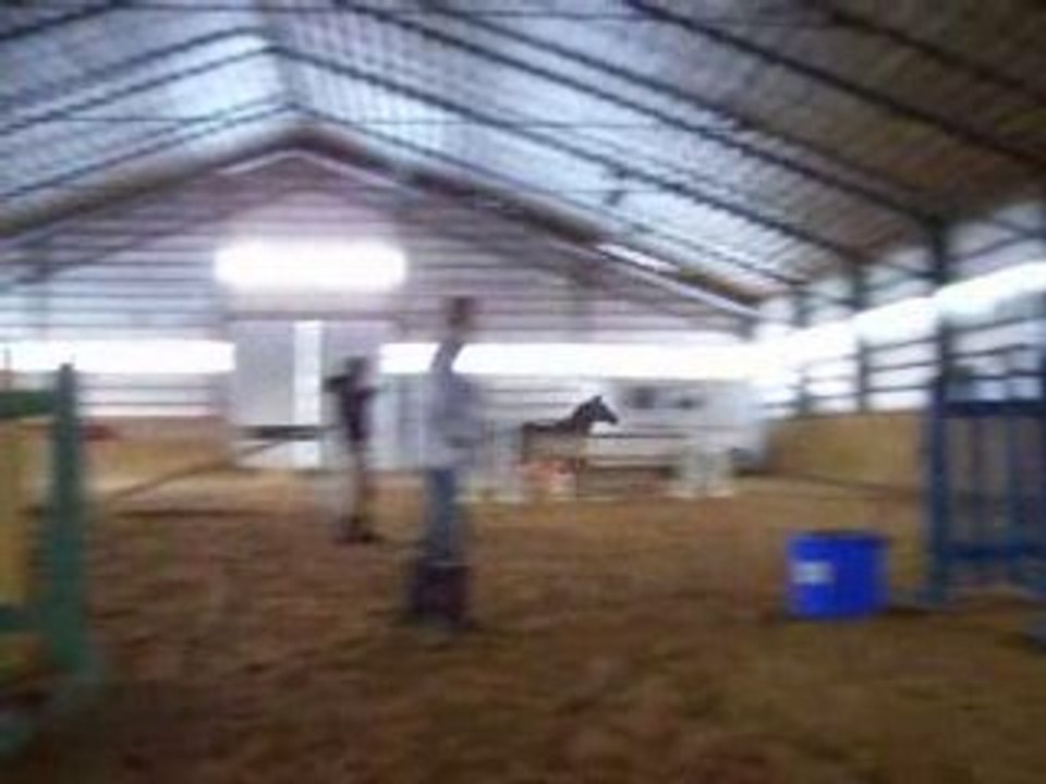 Fléxo des Pins saut libre environ 4,6' , 4,9' ,2008