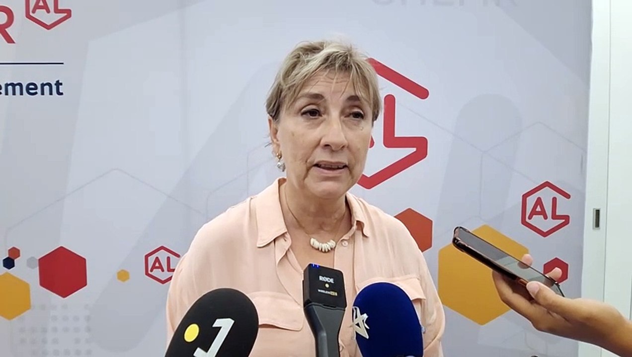 SHLMR : "Des enjeux de structuration"