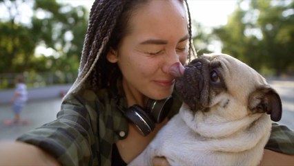 A Heartwarming Lineup of The Most Loving Dog Breeds