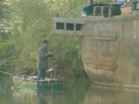 Sandres, brochets, perches