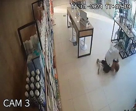 Vean a esta auxiliar reducir a un búlgaro que destrozaba su farmacia en Málaga