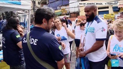 Brazil battles dengue outbreak as carnival gets underway