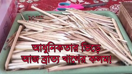 হারিয়ে গেছে নলখাগড়ার বন, আধুনিকতার ভিড়ে আজ ব্রাত্য ‘খাগের কলম’!
