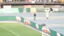Le dernier show de la mascotte Akwaba au stade Felix Houphouet Boigny