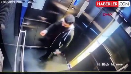 Başakşehir'de Kediye İşkence Eden Sanığın Cezası Ertelendi