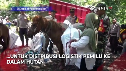 Momen Mengantar Logistik Pemilu 2024 di Jember Harus Naik Kuda Menembus ke Dalam Hutan