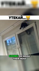 Unlocking the Secrets of the Mind_ What's Inside_