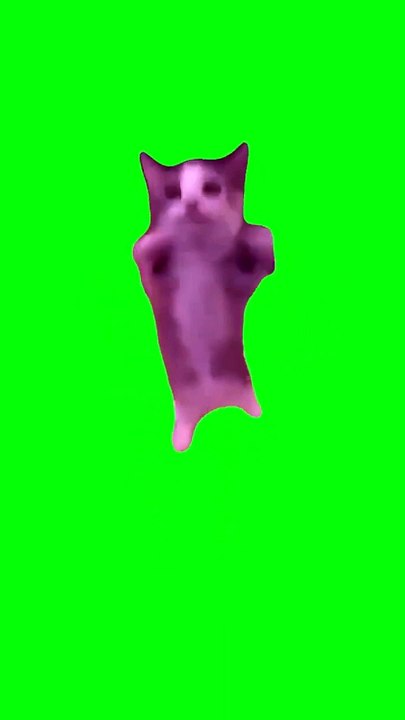 happy happy cat green screen meme template #memes #trending #viral #cat