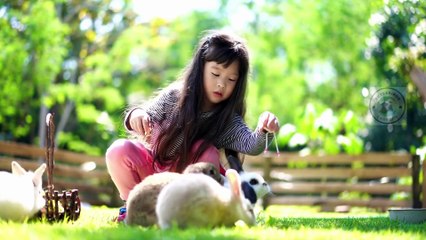 Baby rabbits tips | Raising rabbits properly #pets_birds #baby_rabbit #baby_rabbit_care