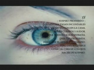 Video Escritos- diario de Yariguies - Poems