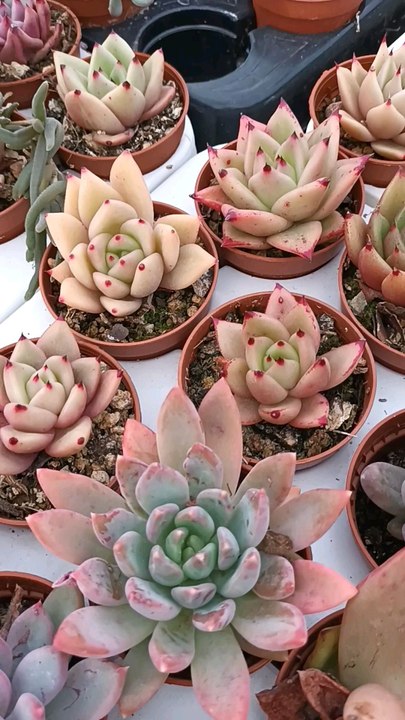 Voici ma nouvelle vidéo