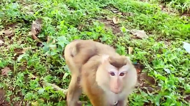 SASHA Mother Make Child SACKY Cries Loudly (720p_25fps_H264-192kbit_AAC)