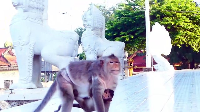 Scared Old Mom Barry, Barry Expressing Scariness Like Smiling Of Human (720p_25fps_H264-192kbit_AAC)