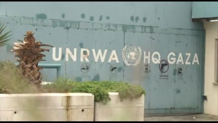 L'indagine sull'Unrwa, Lazzarini: un disastro senza noi a Gaza