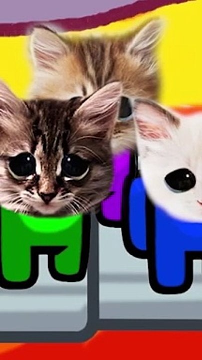 Kittens and Captain Jack. Pushcats Cat cartoon Tik Tok