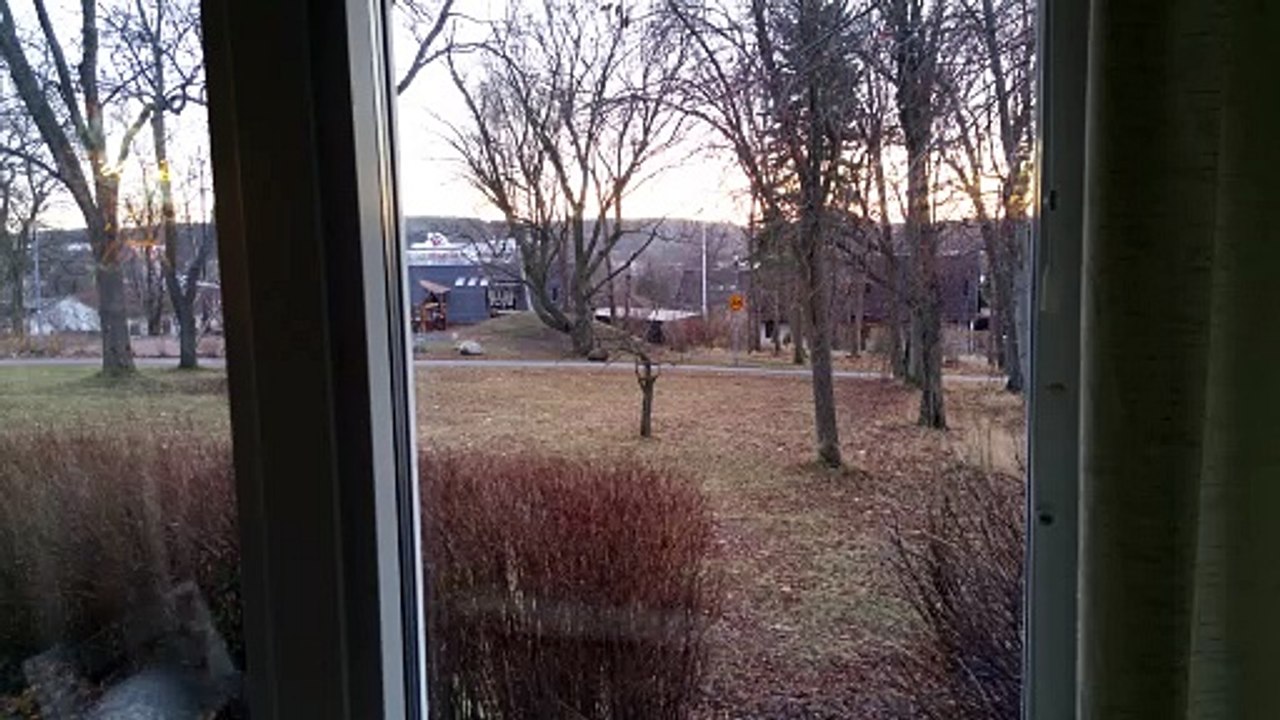 Kreuzfahrtschiff in der Ferne 2016