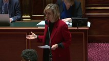 Réponses aux agriculteurs : le ministère assure être dans les temps, le Sénat maintient la pression