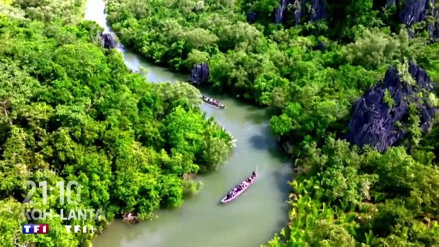 Koh Lanta 2024 : cette candidate qui va faire halluciner Denis Brogniart