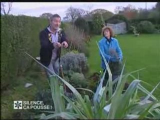 Silence ca pousse : Decembre