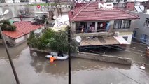 Hochwasser in Antalya in der Türkei -  auch Hunde und Katzen gerettet