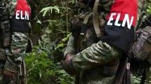 Chocó permanece sin alimentos y medicinas por paro armado del ELN