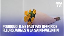 Pourquoi il ne faut jamais offrir de fleurs jaunes lors de la Saint-Valentin