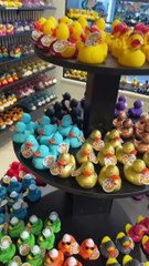 Les trucs bizarres à Amsterdam ⭐️