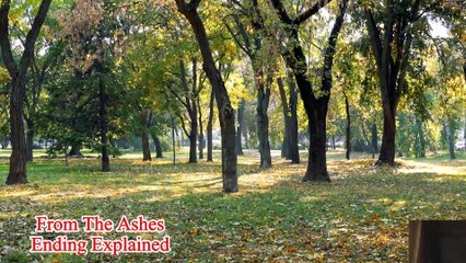 From The Ashes Ending Explained | From The Ashes 2024 Movie | netflix saudi arabia