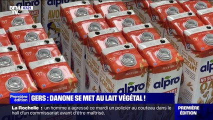 Dans le Gers, Danone abandonne le lait de vache et se met au lait végétal