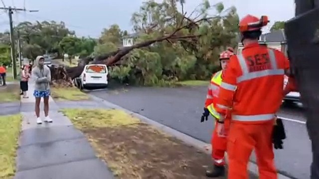 Power outages to ‘dramatically reduce’ over next 36 hours