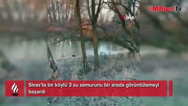 Biri bile görülemezken üçü aynı anda aynı yerde görüntülendi!