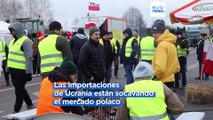 Los agricultores polacos reanudan sus protestas contra las importaciones de Ucrania