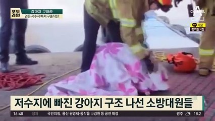 강아지 구하라…얼음 저수지 빠져 구출작전