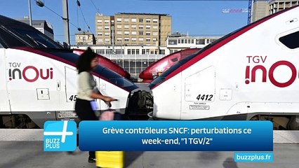 Grève contrôleurs SNCF: perturbations ce week-end, "1 TGV/2"