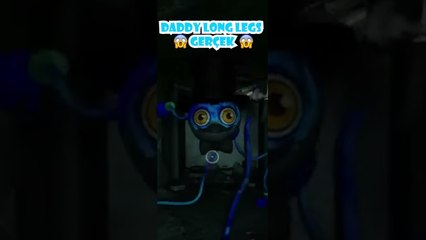 Daddy Long Legs Gerçek mi ?