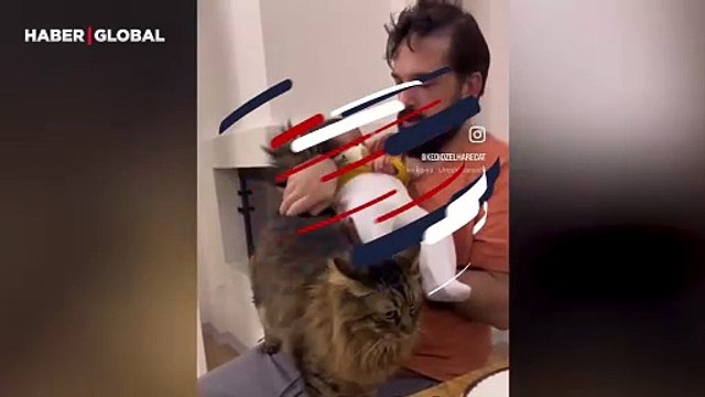Evin yeni üyesi bebeği kıskanan kedi sahibini paylaşmayınca çözümü böyle buldu