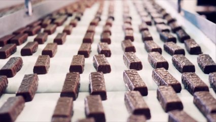 Les conditions météo extrêmes font atteindre un record au prix du cacao