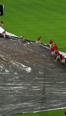 Finally I’m free #comic #comedy #learnfromkhaby