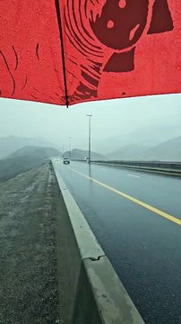 Watch: Torrential rains hit Sharjah, Fujairah as wadis flow, streets flood