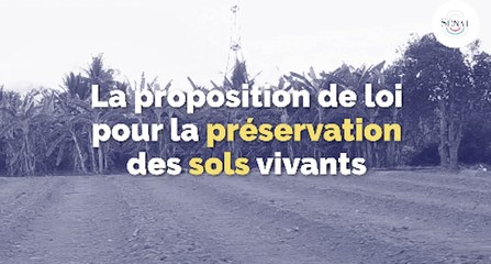 Préserver la santé des sols vivants, notre patrimoine commun