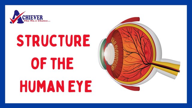 Red and Brown Modern Bold Earth's Continents Education Intro Video