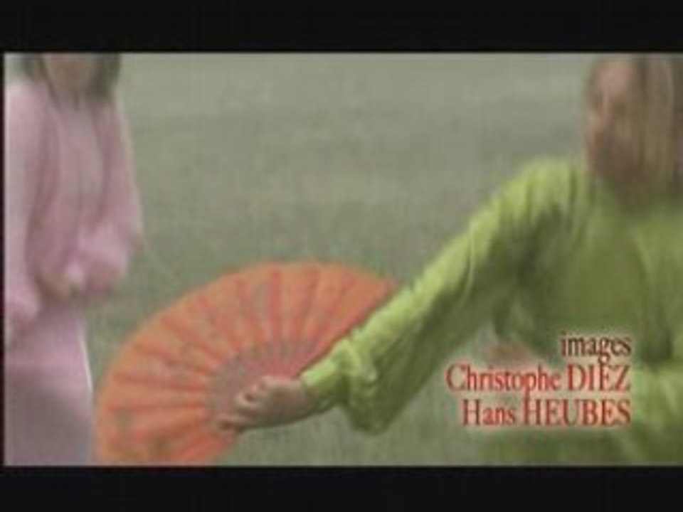 Taiji a l'eventail : taiji shan du style Yang