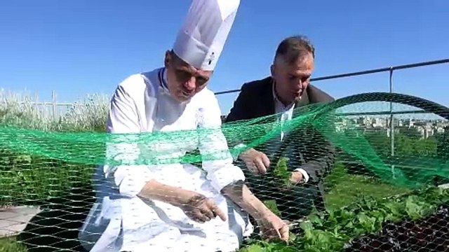 BONUS RECETTES Chef Briffard - Le Cordon Bleu