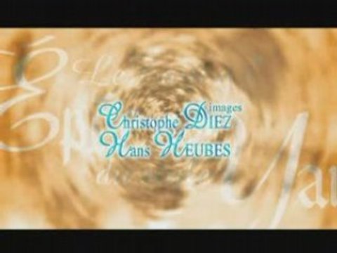 Taiji Quan - Le Taiji a l'epee du style Yang