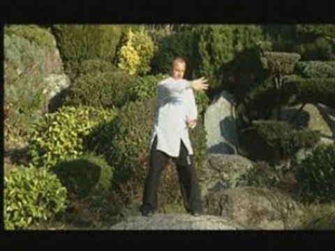 Taiji-Quan : 3eme partie, le ciel et ses applications martiales