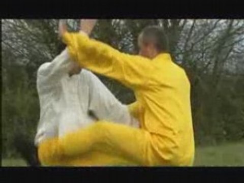 Taiji-Quan : Le grand San Shou du style Yang