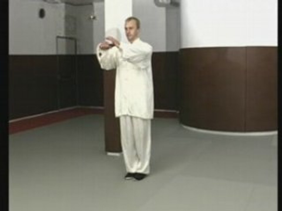 Taiji-Quan de combat : vol.1