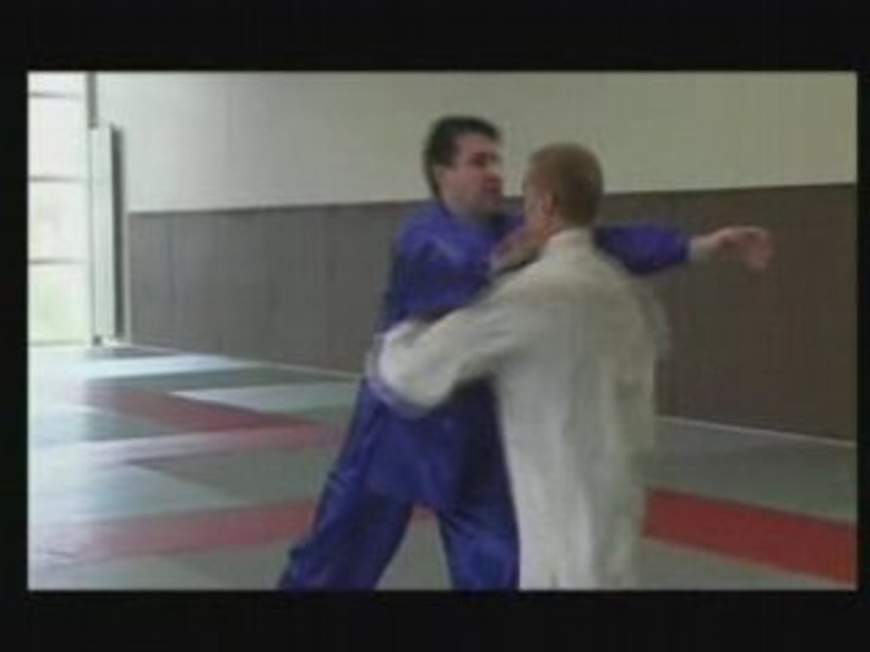 Taiji-Quan de combat : vol.2