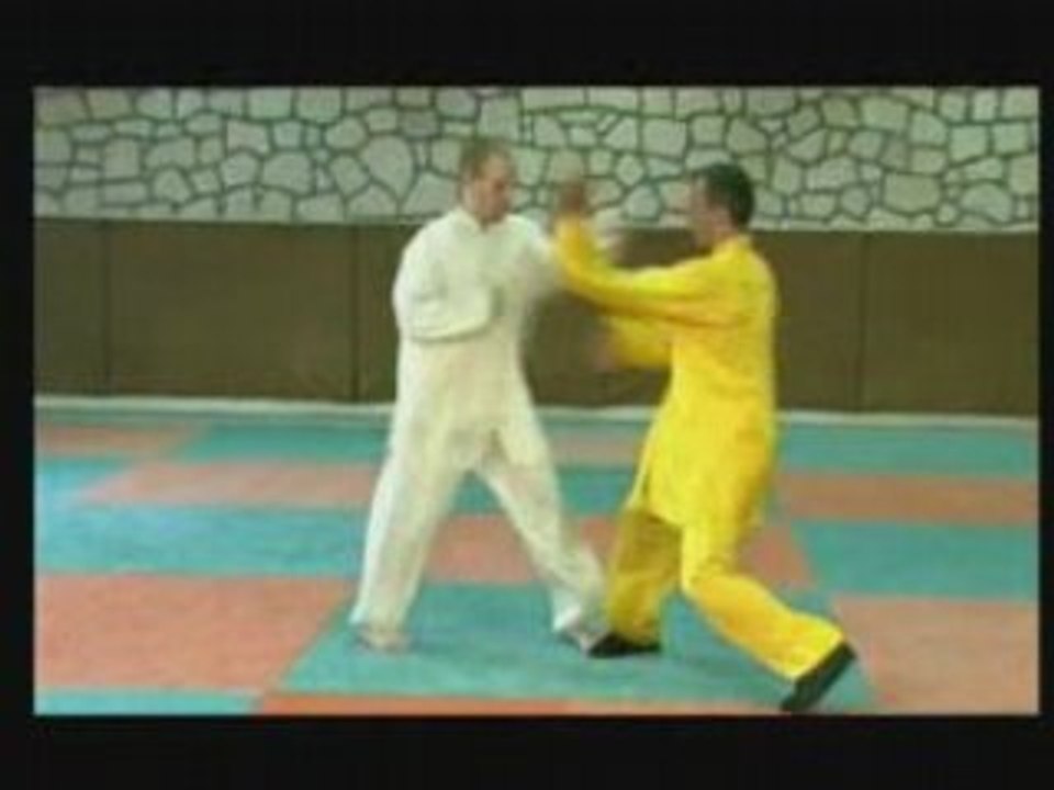 Taiji-Quan de combat : vol.3
