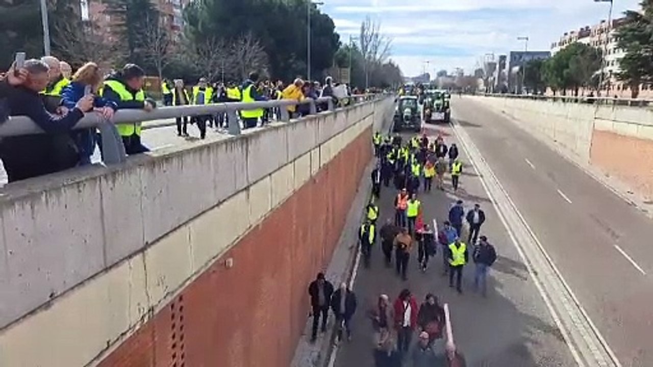 Un millar de tractores y cientos de personas protagonizan la protesta del campo en Valladolid